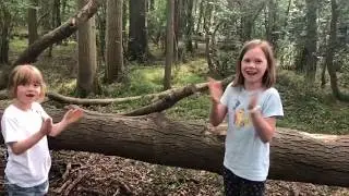 Good Vibrations