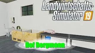 LS19 | Hof Bergmann | 1.0.0.8 BETA1 |# 08: Ferkel zum Metzger bringen | LANDWIRTSCHAFTS SIMULATOR 19