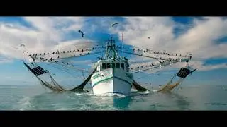 Pesca de arrastre: impacto sobre el medio ambiente -G5