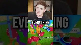I challenged the owner of plants vs brainrots