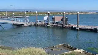 Coyote Point Park