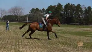 2010 Southern Pines Horse Trials - Advanced XC - Part 1 of 2