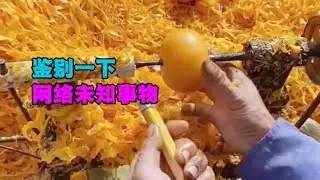 鉴定网络热门事物第4期：3种你可能见过，但不知道是什么的事物！