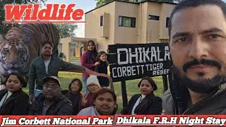 Dhikala Zone Night Stay ! Jim Corbett National Park ! Book frh dhikala ! Tiger sighting dhikala zone