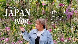 A Rainy Day in Tokyo ⋮ teamLab Planets, Hedgehog Cafe, + Art Aquarium Museum [Japan Vlog]