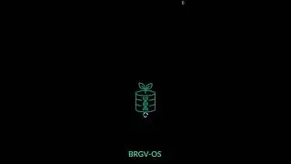 BRGV-OS on nested RAID 50 on LUKS (full encrypt mode)