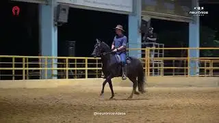 D&iacute;namo do Zabotto, Res. Campe&atilde;o dos Campe&otilde;es de marcha Expo Haras Raphaela 2023