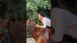 Cinematic Reel with Hindi Music 🐎 | Horse Riding + Hindi Vibes 🎶 | Wavify Reels Maker