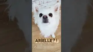 Arielle in Fleeceform?! Was ist bitte in der Winterbox?!