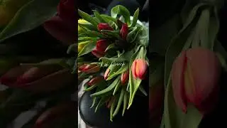8 of March 💐 #march#womansday#aesthetic#aestheticvideo#aestheticvlog#momvlog#flowers#tulips#spring
