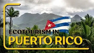 Top 5 Ecotourist Places To Visit In Puerto Rico