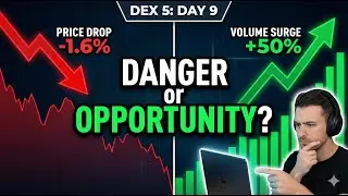 Buy the Dip? DEX 5 Volume Surges +50% on Red Day! 📈