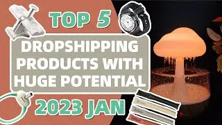 Top 5 Dropshippping Products with Huge Potential | 2023 Jan