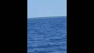 Sailing into esgenoopetitj.  Lobster fishing 2016