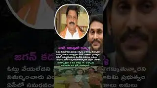 Prajalapai akkasu enduku Jagan? 😡 Payyavula slams: Kutami govt success ni oorkolekapotunnaru!