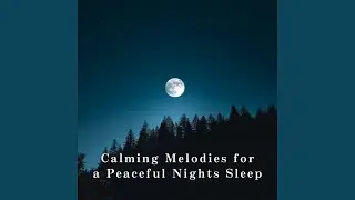 Slumber in Soft Shadows