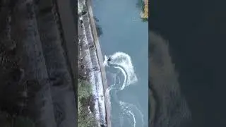 SURF EVERYTHING EVERYWHERE SERIES  I  Project 1  I  The Waterfall  I  Drone