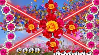 Good Morning Status with Rose Flower | Rose Flower Animation with Good Morning Wishes for Whatsapp |
