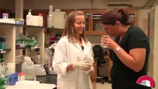 DNA, sample collection and extraction