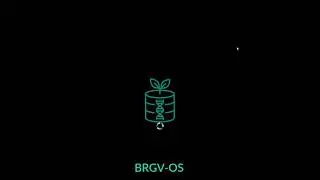 BRGV-OS test install using nested RAID 60 (btrfs)
