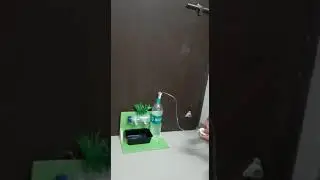 Working model : Hydroponics