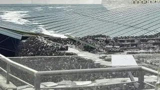 Da&ntilde;os menores en Templo Mayor azteca tras colapsar una cubierta por tormenta | AFP