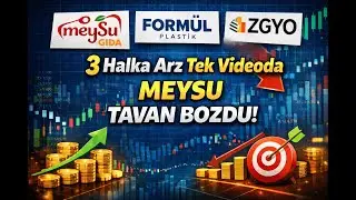 MEYSU FORMUL ZGYO GÜN İÇİ VERİLERİ