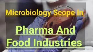 Microbiology Scope In Pharma And Food Industries?