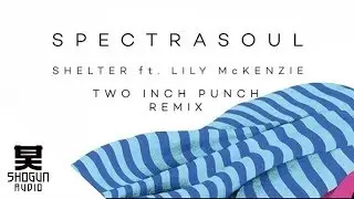 SpectraSoul - Shelter ft. Lily McKenzie (Two Inch Punch Remix)