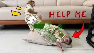 Sunny can’t stand it because of Lucky’s “smelly” behavior!