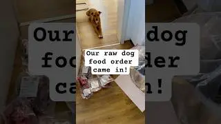 Raw Dog Food Delivery Day #rawdogfooddiet