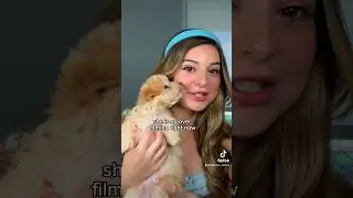 MY PUPPY AND I BEING CHAOTIC FOR ONE MINUTE STRAIGHT🤣#bloopers #funnyvideo #shorts