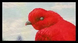 BALTHVS - Pajaro de Cumbia (Official Audio)