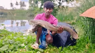 LOCH NESS MONSTER CATFISH  | single hook fishing || DGL meenavan || #big #monster #catfish catching