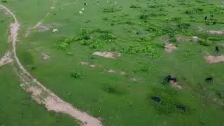 drone shoot babina cantt !! drone shoot !! #drone #droneshoot
