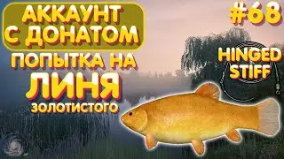 Donation account #68 | Golden Tench Bear's attempt | Hinged Stiff rig | Russian Fishing 4