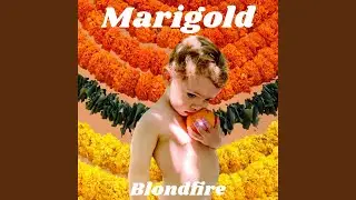 Marigold
