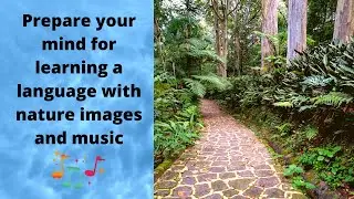 Nature images and music for concentration when learning languages.