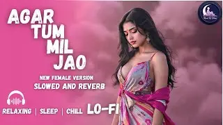 Agar Tum Mil Jao || Relaxing Lo- FI Version || अगर तुम मिल जाओ | Hindi Lo-Fi Song