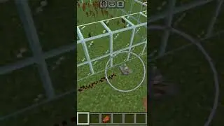 THE IMPOSSIBLE WINNER?! 😱 minecraft 16 Color War FINAL