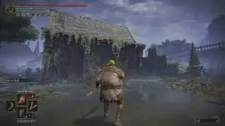 Shrek's swamp - Elden Ring PVP