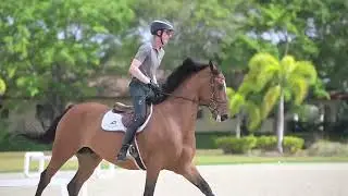 What's in Your Arena? | Andrew Bourns