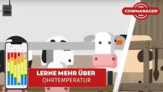 Warum die Ohrtemperatur entscheidend ist