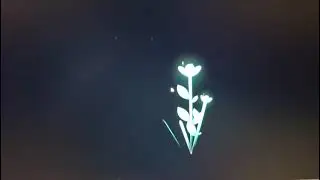 When Code Blooms 🌸 | HTML CSS Magic