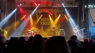 Neon trees at Royal oak arts beats and eats 2025