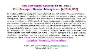 Demand Manager (Adtech )