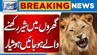 Warning for People Keeping Lions at Home | Public Safety Alert Pakistan | Lahore News HD