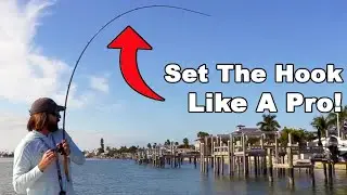 How To Set The Hook With Shrimp Jigs (8 Fish In 8 Casts!!)