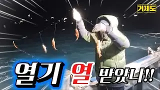 열기가 열받았나!! 봅니다. | 선상 외줄 채비 | 거제 열기 외줄낚시