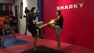 Training at Sharky Gym (Chonburi FC)